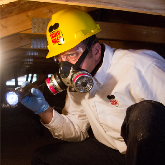 Truly Nolen technician inspecting a crawlspace